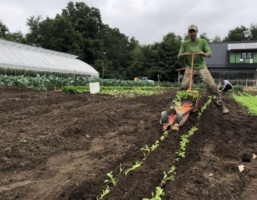 A man pulling a seedling planter in a tilled field. This planter eliminated a lot of waste in the process.